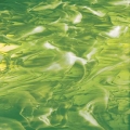  Spectrum  Green () 826-92S