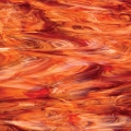    Spectrum  Pearl Opal (  ) 6051-83
