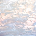  Spectrum  White () 309S