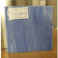   VISION 337-1S (K15-1842)