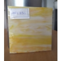 c VISION 6067-83