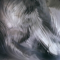  Spectrum  Baroque ()  BR/GRAY-PALE