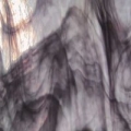  Spectrum  Pearl Opal (  ) 6009-8