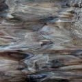   Spectrum  Pearl Opal (  ) 6011-85