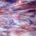  Spectrum  Pearl Opal (  ) 6034-86