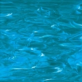   Spectrum  Blue (, ) 833-93S