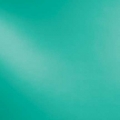  Spectrum  Green () 223-72S