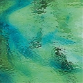  Spectrum  Green () 423-1W