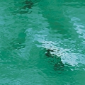  Spectrum  Green () 523-2W