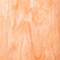   Spectrum Amber 315-1S