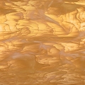   Spectrum Amber 319-02S
