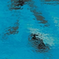  c Spectrum Blue (, ) 533-3W