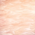  Spectrum Champagne 891-81S